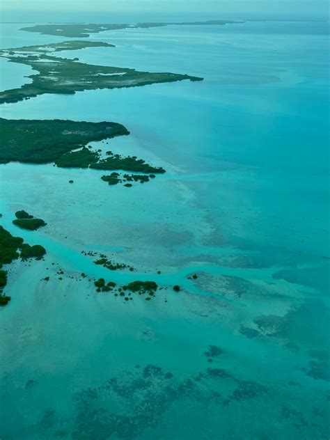 Exciting Things To Do In Caye Caulker Belize You Shouldnt Miss