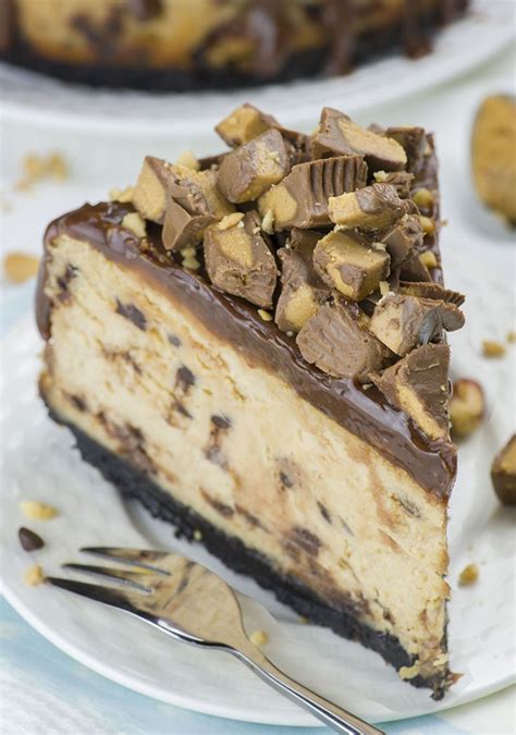 Chocolate Peanut Butter Cheesecake Recipe Peanut Butter Cheesecake Recipes Peanut Butter