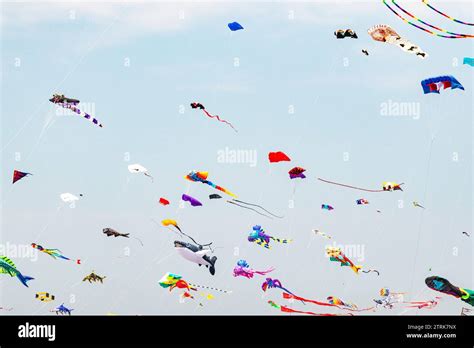 Kites Of Many Shapes And Colors Fill The Sky At The International Kite