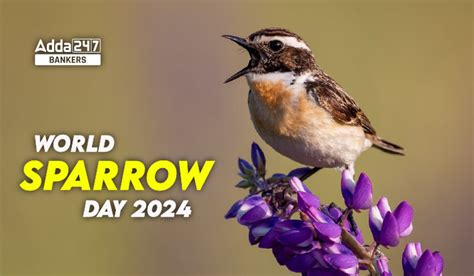 World Sparrow Day 2024 Theme History And Significance