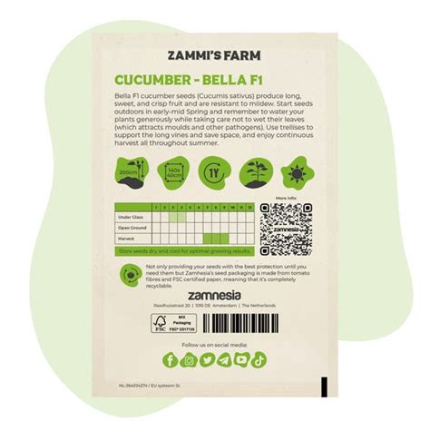 Gurke Bella F1 Cucumis Sativus Samen Zamnesia