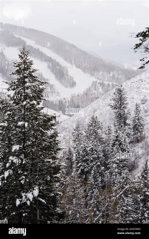 Winter Views In Vail Colorado Stock Photo Alamy