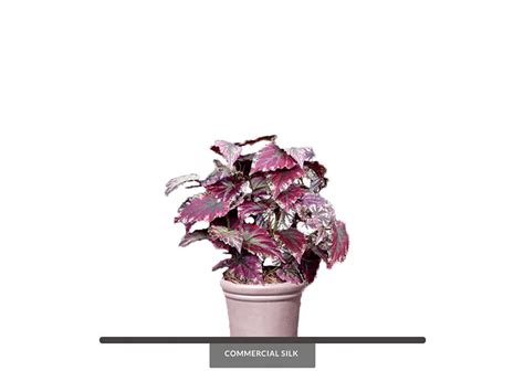 Silver Purple Begonia Rex Faux Plant Fake Plants Commercial Silk