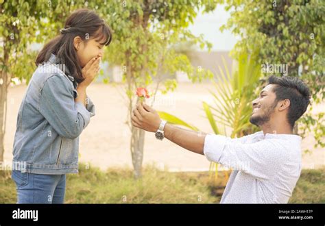 Want To Propose With Rose Flowers Hi Res Stock Photography And Images