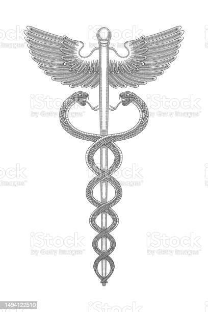 Medical Symbol Aesculapius Vintage Engraving Drawing Style Vector Illustration Stock