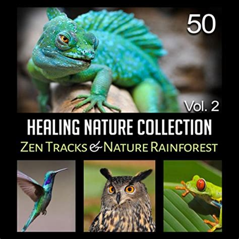 50 Healing Nature Collection Vol 2 Zen Tracks And Nature