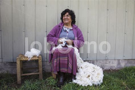 Spinnen Von Schafwolle Chile Chol Chol Lobolmo Fair Trade Fotoarchiv