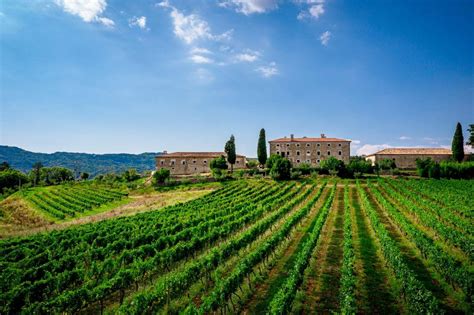 Romantisches Weingut Kroatien Event