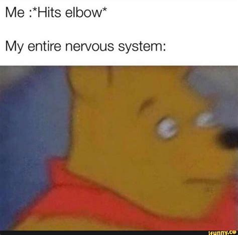 Me Hits Elbow My Entire Nervous System Ifunny Nervous Meme