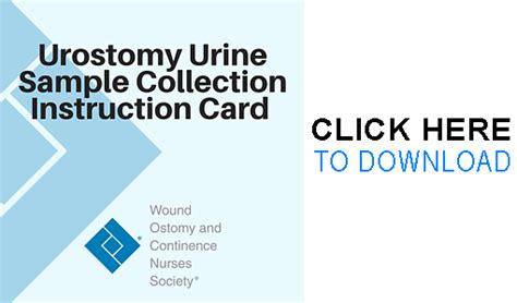 Urostomy Information L United Ostomy Associations Of America