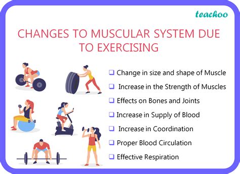 Regular Exercise Benefit The Muscular System Health