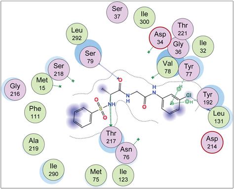 2D Representation Of The Chemical Interactions Of 7a With The Amino