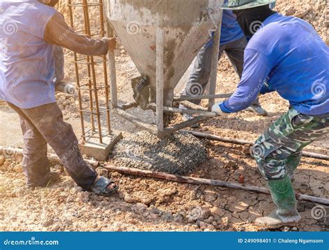 Worker Pour Lean Concrete From Bucket On Soil For Easy Work Steel Rebar