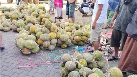 Harga Durian Di Sini Terjun Bebas Berburu Duren Di Pasar Buah Pasrepan