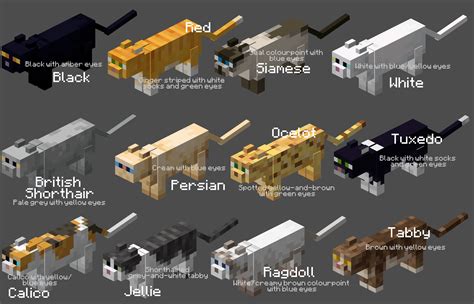 Names and colours for all the cats! What should I do next? : Minecraft