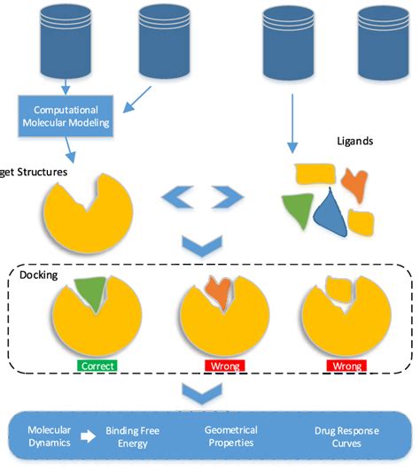 Molecular Docking And Molecular Dynamics Simulations Can Investigate