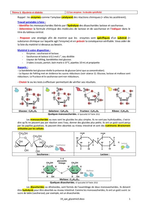 Fiche Dactivit Les Enzymes La Double Sp Cificit Alloschool