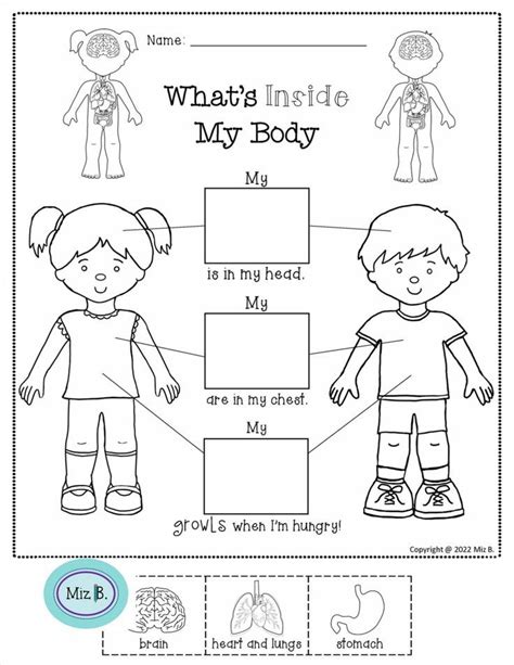 My Body What S Inside Coloring Worksheet Body Preschool Human Body Worksheets