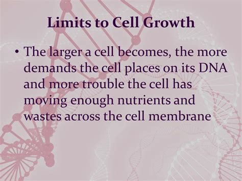 PPT Chapter 10 Cell Growth And Division PowerPoint Presentation Free