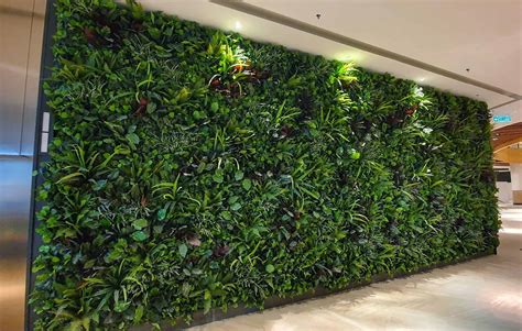 The Artificial Vertical Garden Of Karol Bagh Is The Product Of A