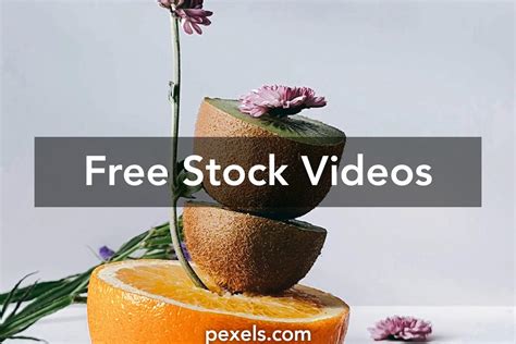 Kiwi Flower Videos Download The Best Free 4k Stock Video Footage