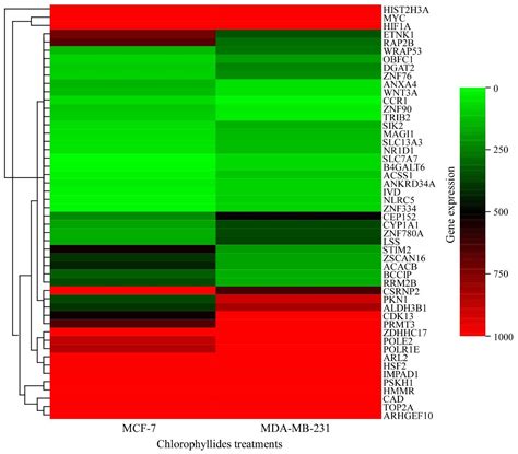 Molecules Free Full Text Screening Of Specific And Common Pathways