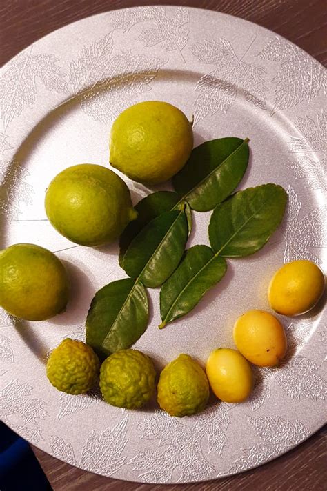 Rhum Citrus Rhum Arrangé Recette Ingrédients Et Conseils