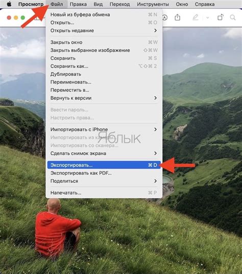 Как конвертировать WebP в JPG или PNG на Mac, iPhone или iPad?