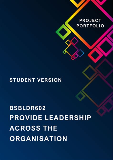 Bsbldr 602 Project Portfolio PROVIDE LEADERSHIP ACROSS THE