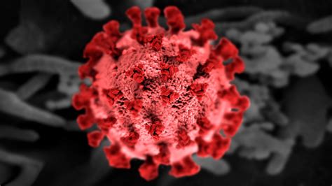 The Messed Up History Of SARS