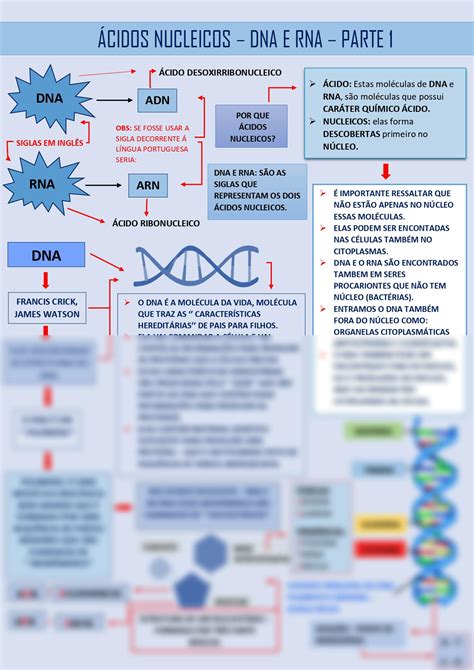 Solution Mapa Mental Cidos Nucleicos Dna E Rna Parte Page