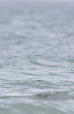 Shakira In Bikini Top At A Beach In Ibiza Hawtcelebs