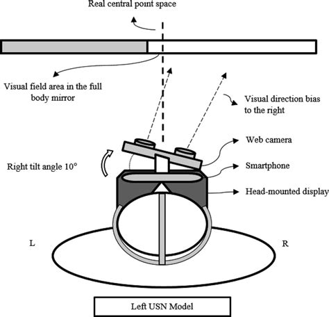 The Left Unilateral Spatial Neglect Model Condition Download Scientific Diagram