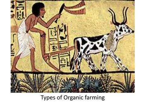 Solution Types Of Organic Farming Studypool