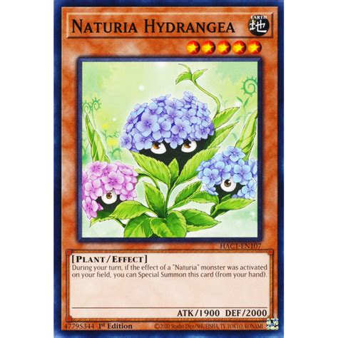 HAC1 EN107 Hortensia Naturia Arsenal Mystérieux Chapitre 1 Carte Y