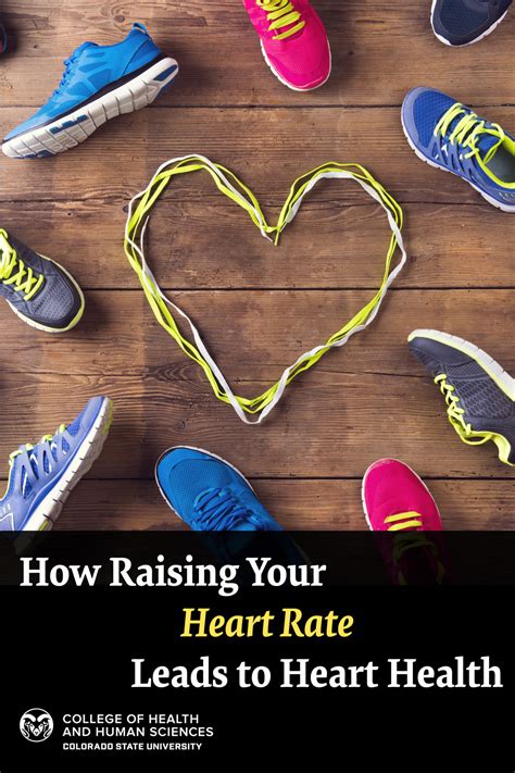 How Raising Your Heart Rate Leads To Heart Health College Of Health And Human Sciences