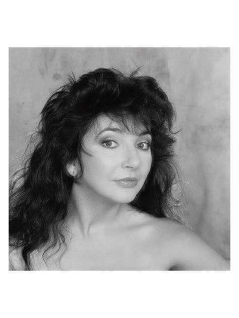 Feature Re Release And Revision Celebrating Kate Bushs The Whole