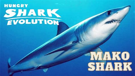 Punpunກັບອີກຄັ້ງກັບເລມ Hungry Shark Evolution 🦈 Ep2 Mako Shark