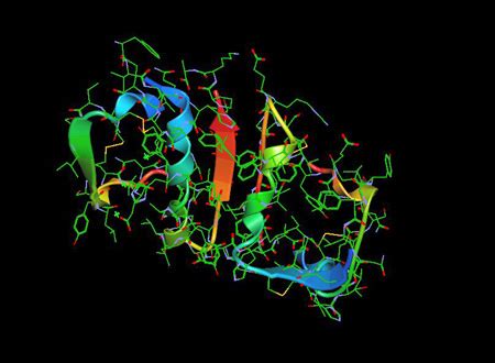 Insulin Structure