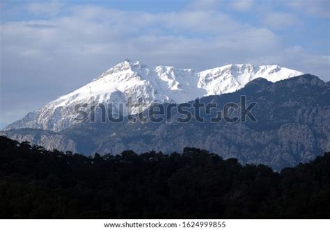 Tavr: Over 75 Royalty-Free Licensable Stock Photos | Shutterstock