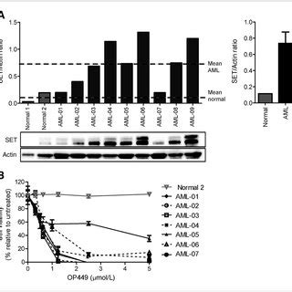 Op Inhibits Growth Increases Apoptosis And Decreases Bcr Abl