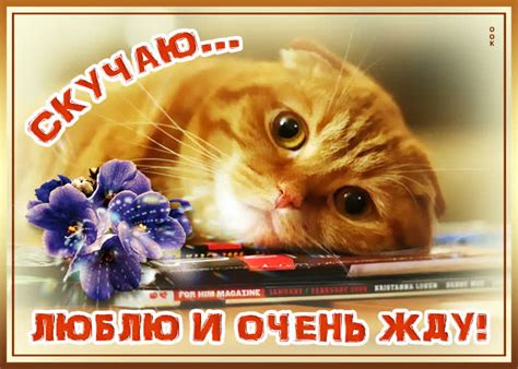 Картинка скучаю и люблю - Скачать бесплатно на otkritkiok.ru