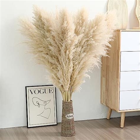 Amazon Wertuirk Stems Inch Tall Pampas Grass Decor Large