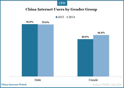 Chinese Female Internet Users Insight China Internet Watch