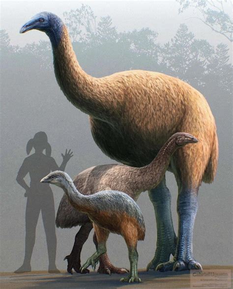 Extinct Beasts thread - The Something Awful Forums