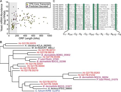 The Histoplasma Transcriptome Encodes Many Small Cysteine Rich Download Scientific Diagram