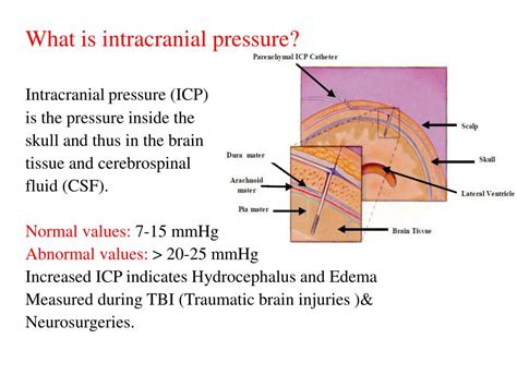 Ppt Intracranial Pressure Monitoring Powerpoint Presentation Free