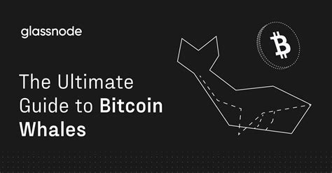 The Ultimate Guide To Bitcoin Whales