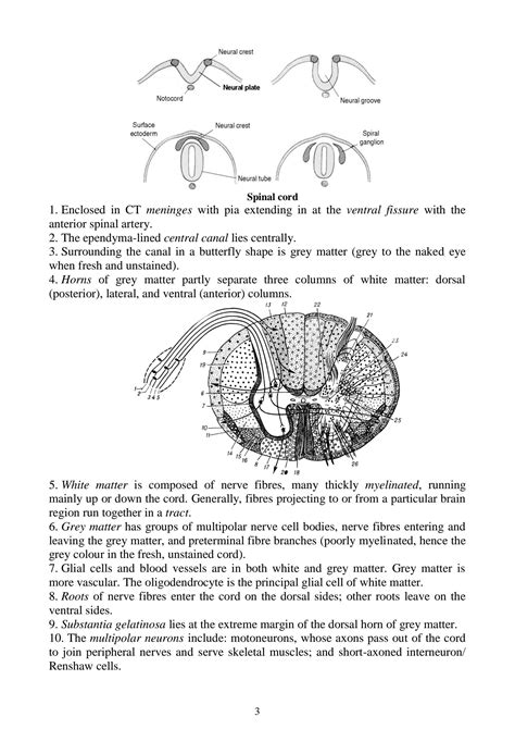 SOLUTION Histology Cytology And Embryology Special Histology And