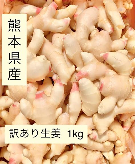 Paypayフリマ｜熊本県産 訳あり新生姜 1kg